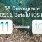downgrade-ios11